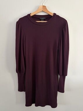 Revamped Ribbed Tunic Dress in Plum